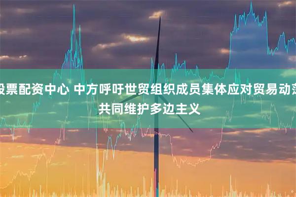 股票配资中心 中方呼吁世贸组织成员集体应对贸易动荡&#32;共同维护多边主义